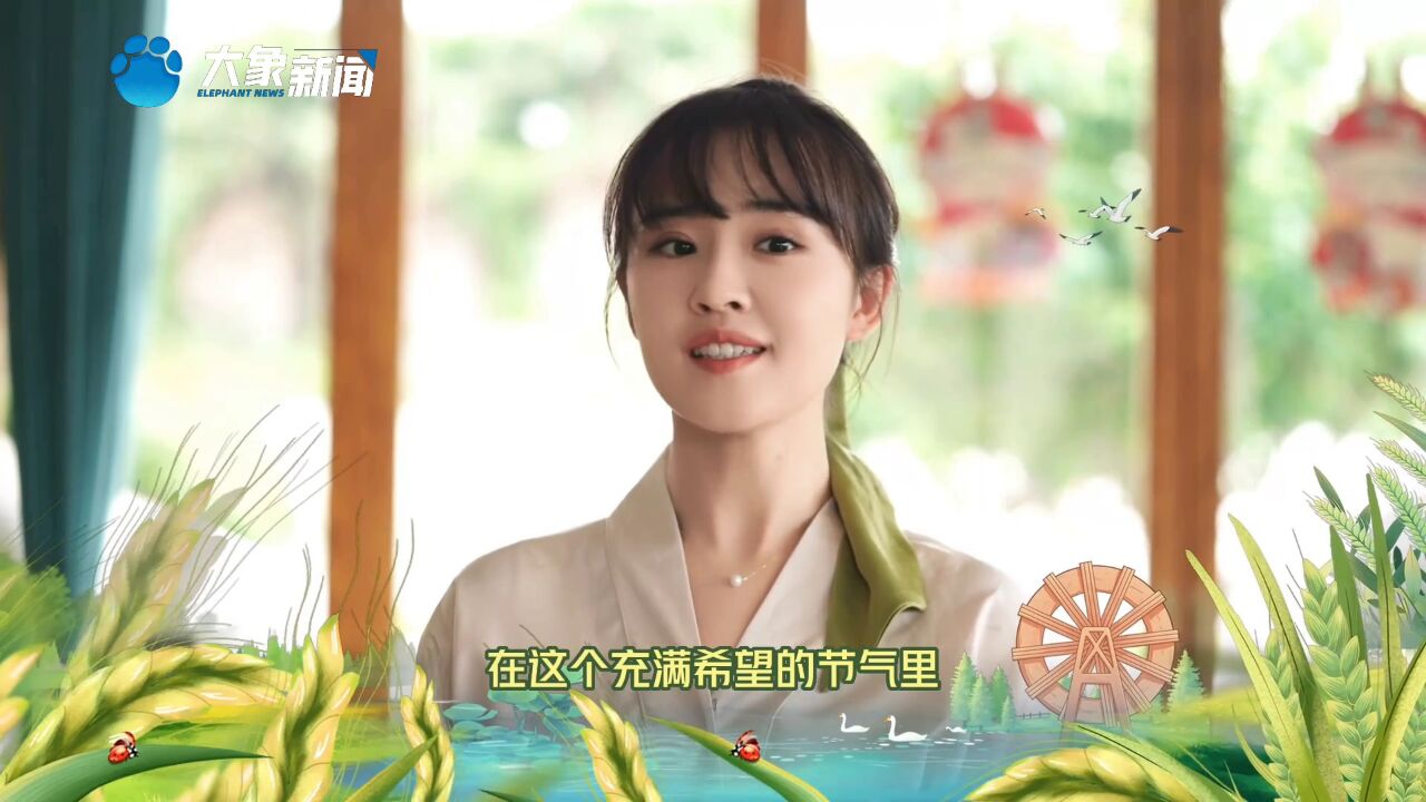 房琪:一起感受收获在即的喜悦_高清1080P在线观看平台_腾讯视频