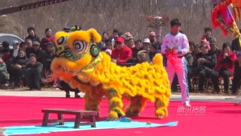 【拍客】实拍中国狮王争霸赛 南北狮王秀实力