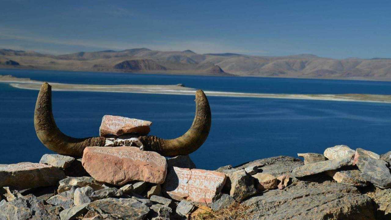 阿兴激动地连声叫好,这样赶海太刺激了小渔村阿兴12:20做完这两件事