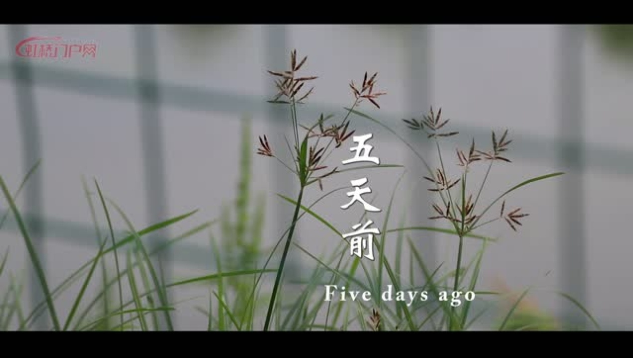 公益短片《诚信》最终版_腾讯视频