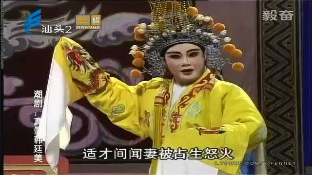 潮剧真假韩延美主演许淑娥洪丽卿林柔佳揭阳潮剧团