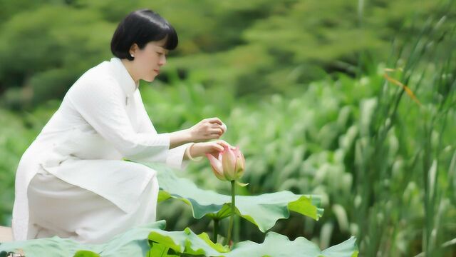 她在西湖边有个无敌湖景院子,夏天到了就用荷花做吃的