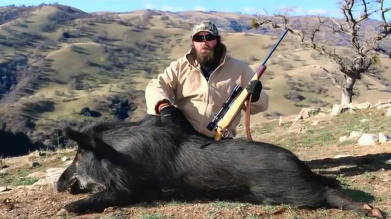 狩猎季的尾声小伙们一起用小口径步枪再收割一波大野猪