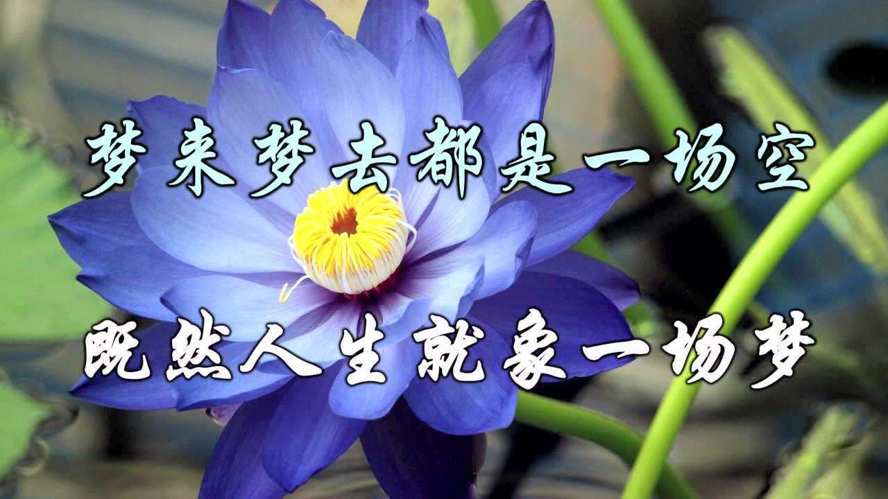 顾凯-人生就像一场梦(舞曲版)_batch