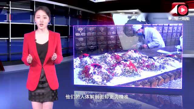 日本靠中药赚光全世界的钱,中国人却还在为中西医谁正宗打架 日本靠中药赚光全世界的钱,中国人却还在为中西医谁正宗打架