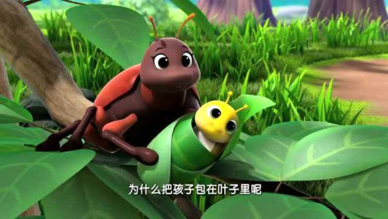 萌鸡小队原来树叶包包里是象鼻虫宝宝