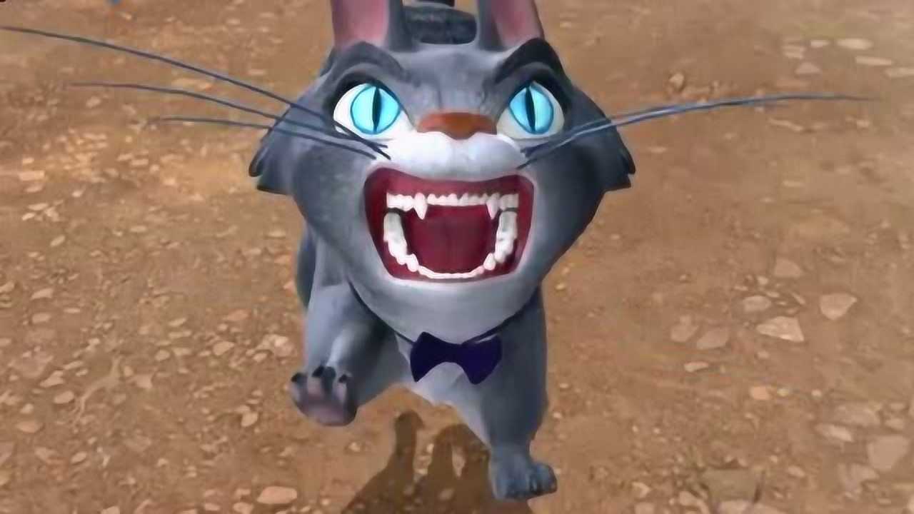 熊出没肥波猫要用易拉罐瓶卖钱换火腿肠吃吼吼蛮聪明的