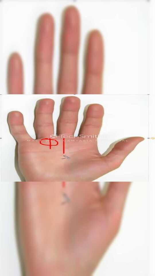 拥有不动产的财运线值得看看手相