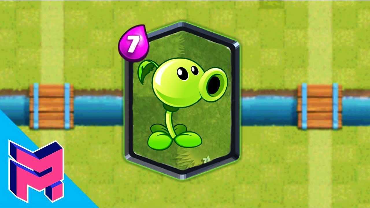 pvz里的豌豆射手很普通但在皇室战争里那可以说是非常厉害了