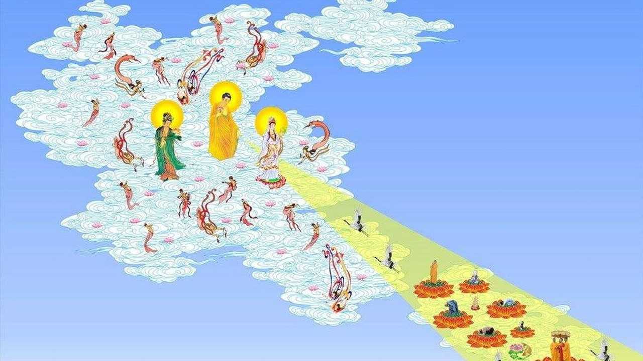 这就是极乐世界的美带您去看极乐世界