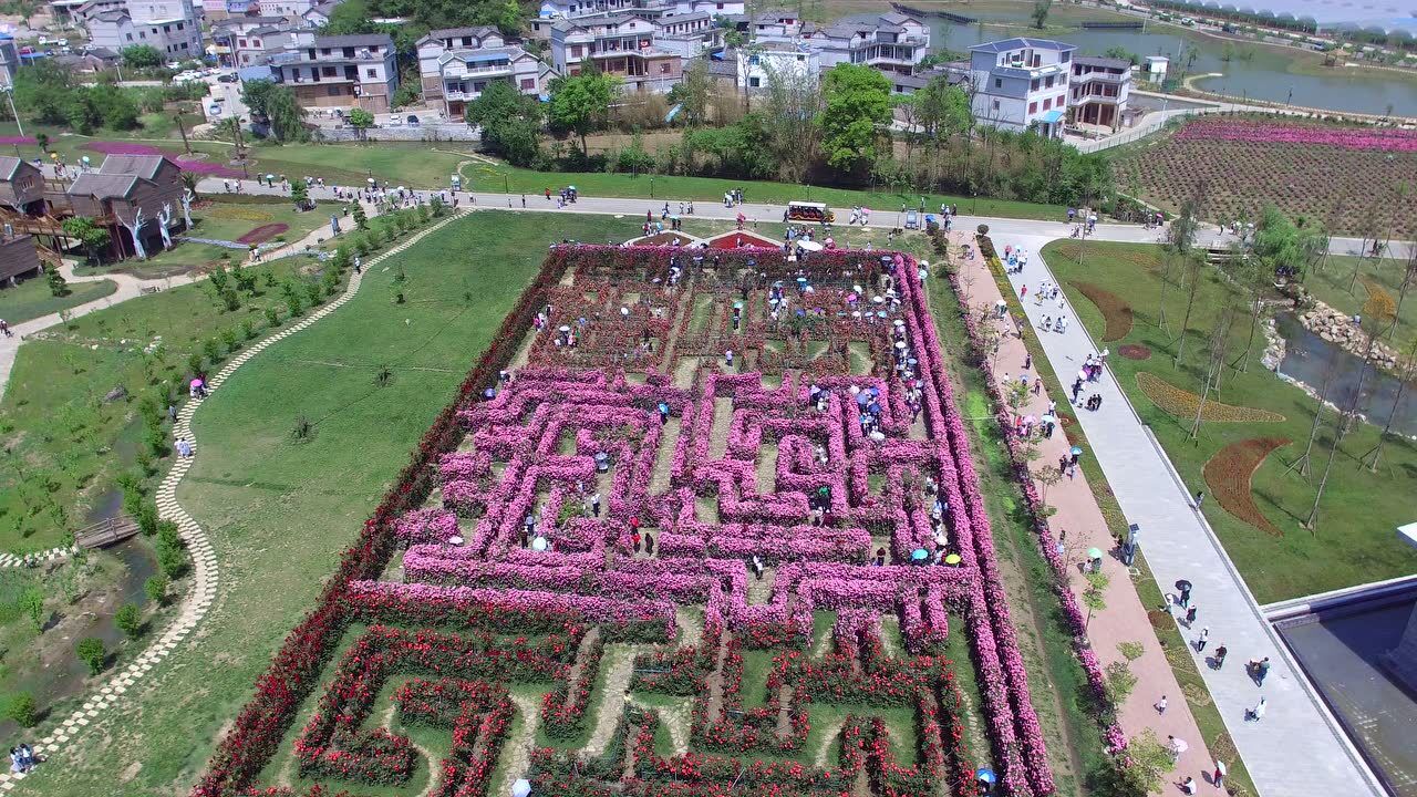 木咱玫瑰花迷宫9