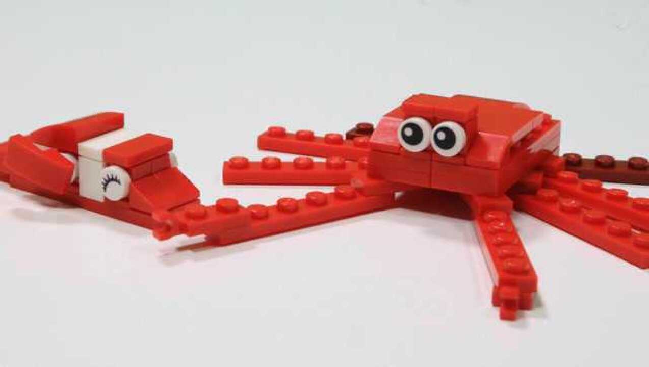 乐高积木玩具 乐高玩具螃蟹拼装演示说明 玩转乐高经典款积木