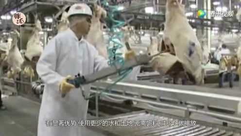 高清1080P在线观看平台_腾讯视频
