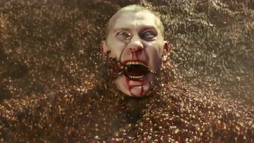 电影精选 恐怖食人蚁 十秒钟变成骨头渣