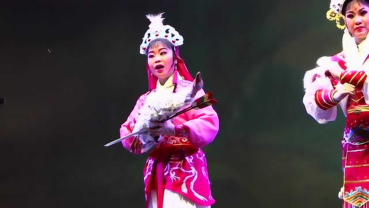 潮剧 - 梅花公主1,潮州潮剧团