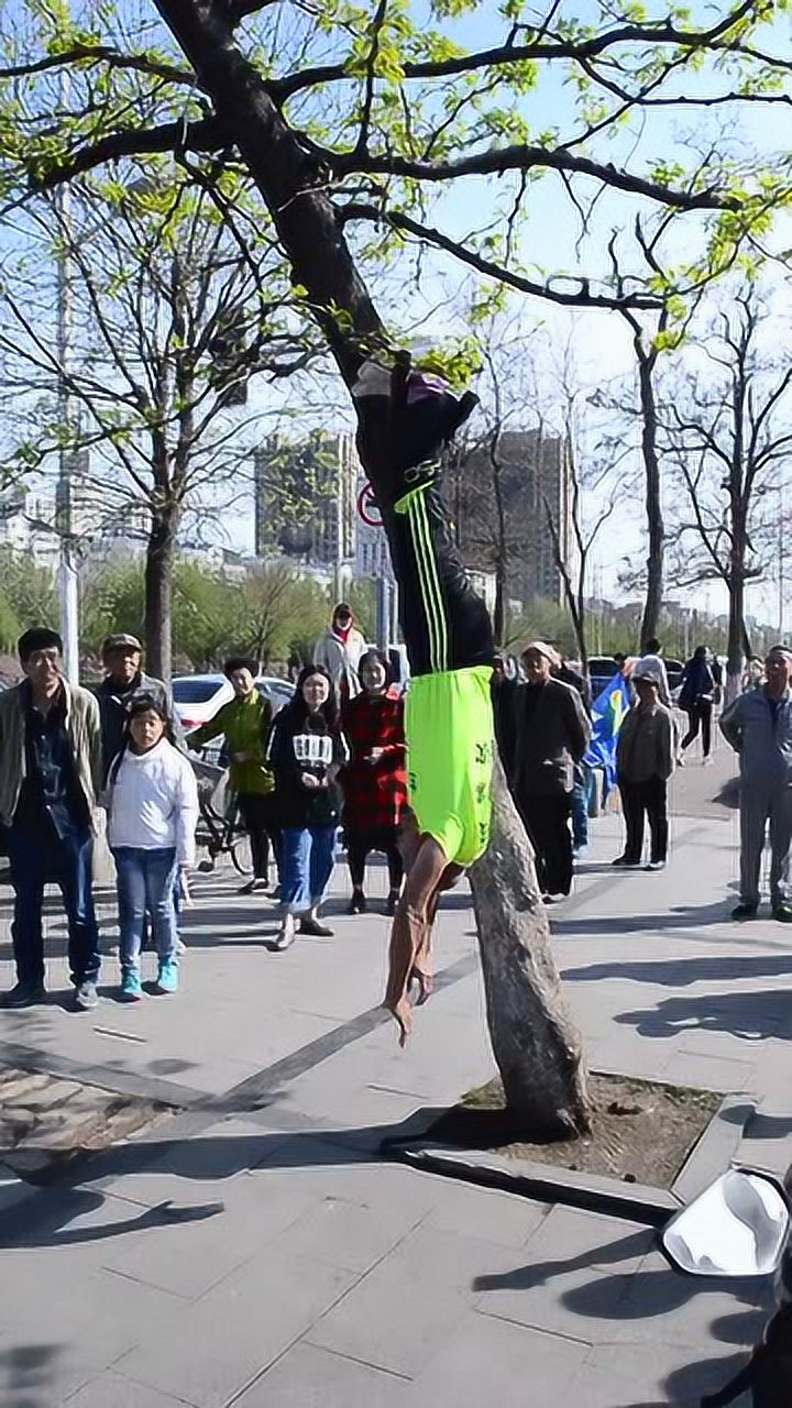 沈阳:劳动公园75岁绝活之王老人 王世吹户外上演双脚倒挂大树够胆