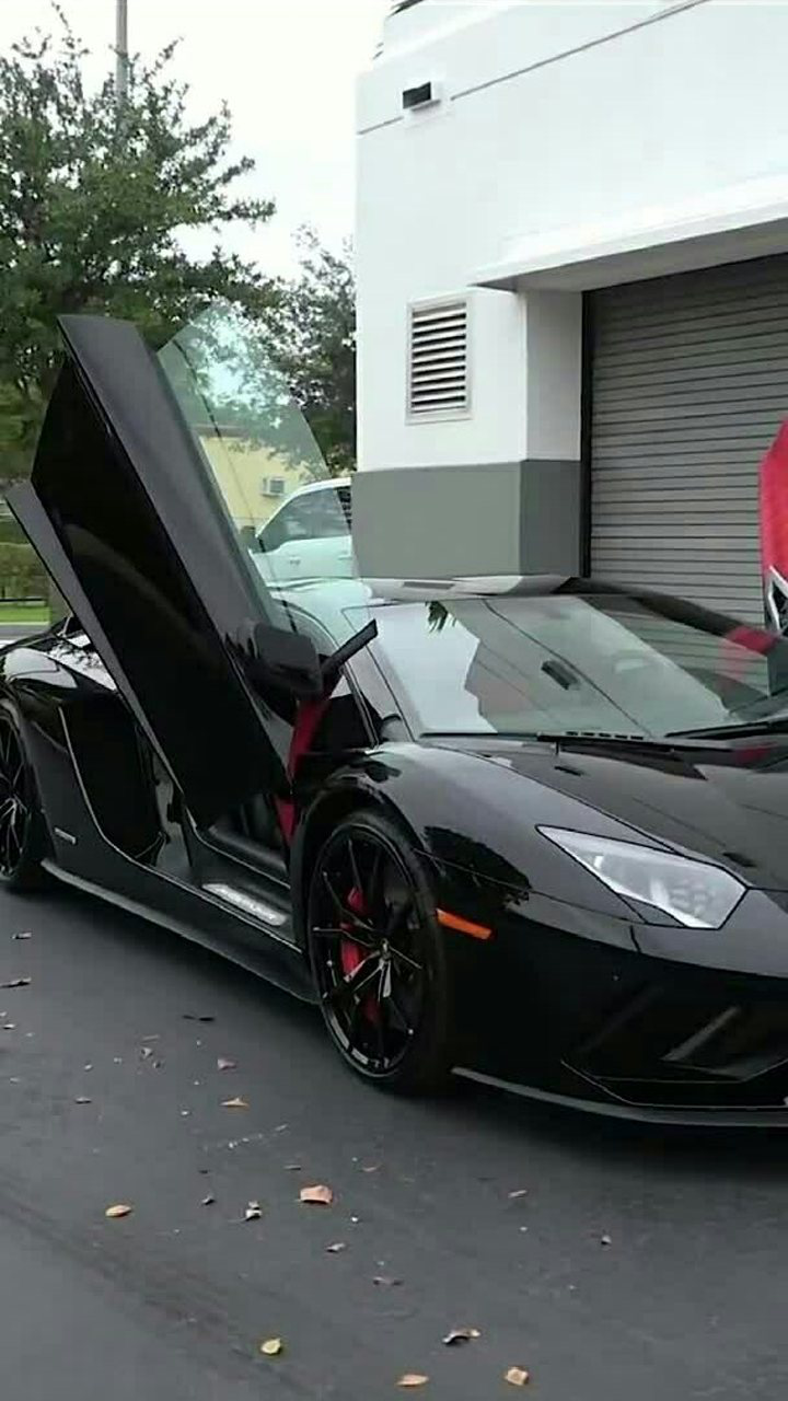 兰博基尼经典蝴蝶门,大爱