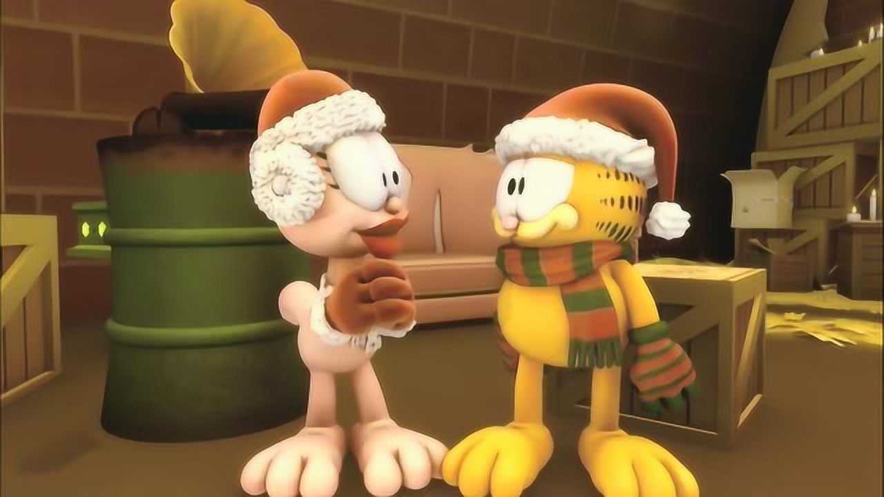 加菲猫的幸福生活加菲猫的这个举动帮助了所有流浪动物太棒了