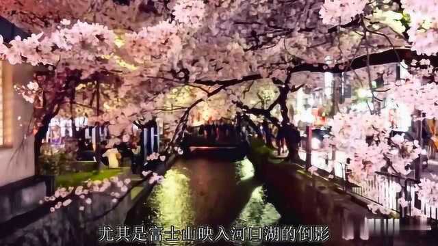 精选日本旅游线路,体验不同季节美景,尽享当地风土人情