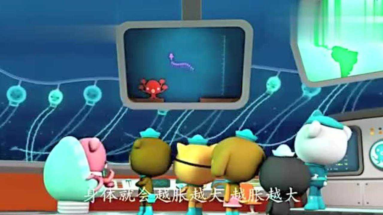 海底小纵队巨型管水母生活在深海午夜区很漂亮还会发光