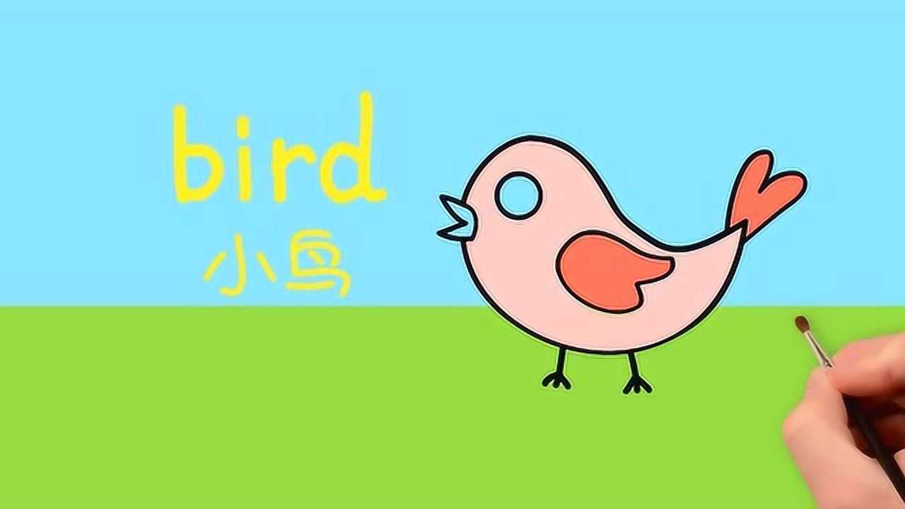 小鸟的英语怎么写bird图片