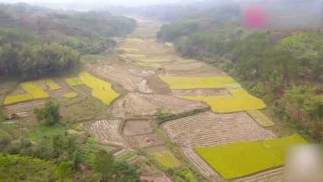 实拍江西田园风光,三层小楼青山环抱风景独好,你向往农村生活吗