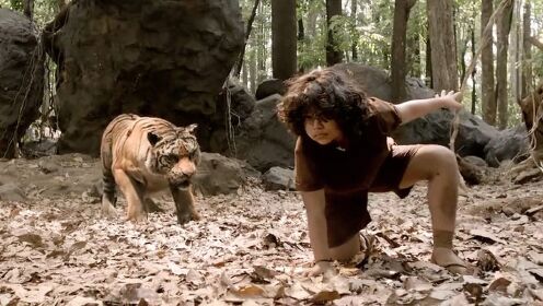 父亲被老虎吃掉后，男孩在森林里设下陷阱把老虎猎杀！