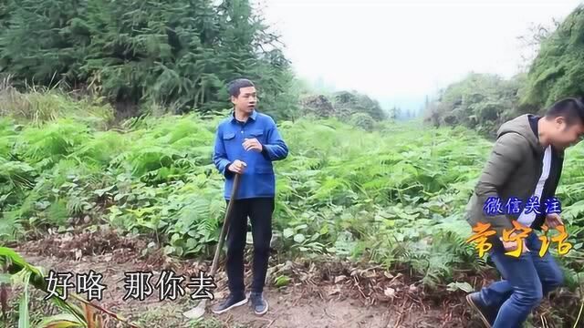 常宁嗨狗油:教你三招