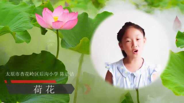 小学语文荷花课文原文配乐朗诵视频