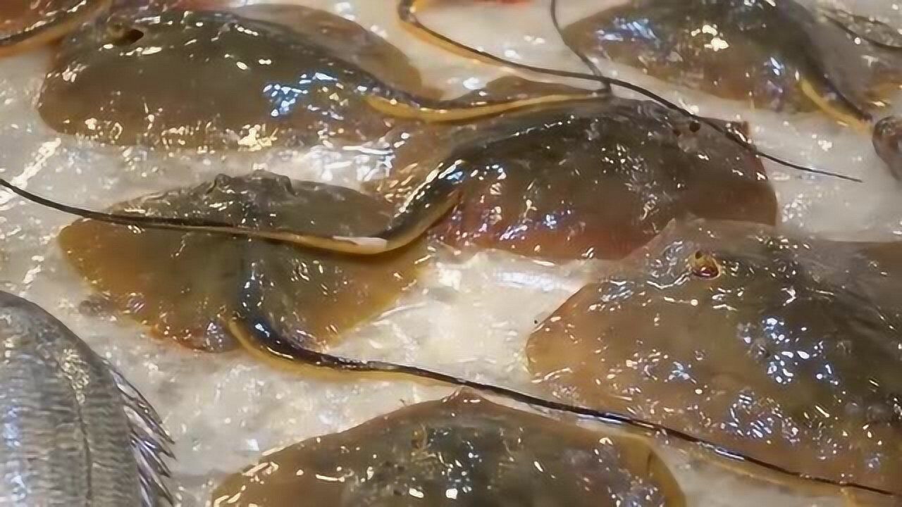 舟山海鲜市场看到种"长尾巴"海鲜, 尾巴有30厘米长, 你认识它吗?