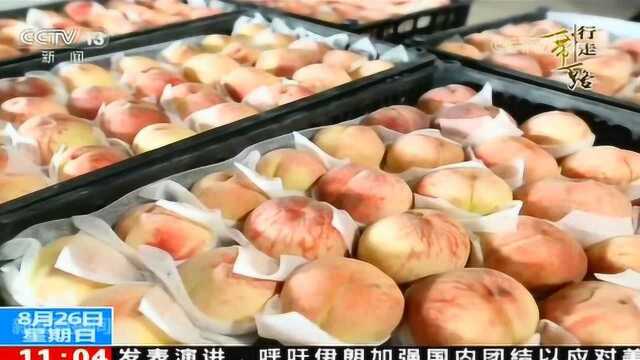 央视“一带一路”黑河