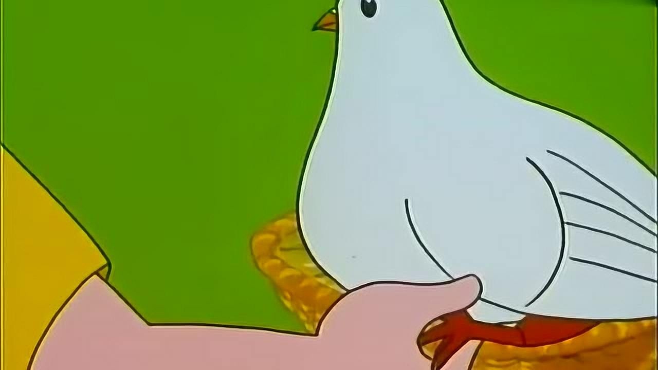 大头儿子大头把受伤的小鸽子带回家照顾它