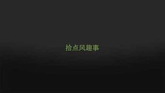 蜘蛛在结网时,第一根线到底是怎么到拉另一边的?