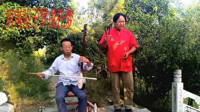 河南坠子张学林《罗成托梦》有板有眼