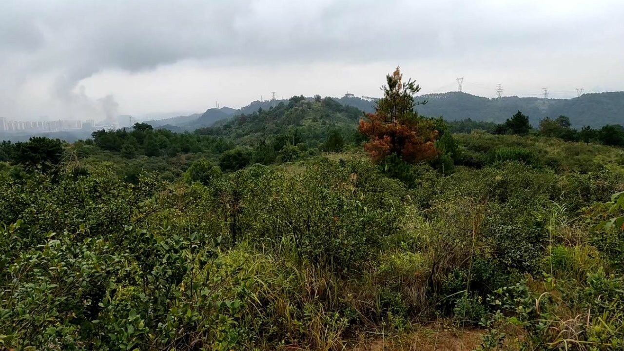 赖布衣留题700年没人点留福主,风水大师寻龙点穴,阴宅墓地风水_高清