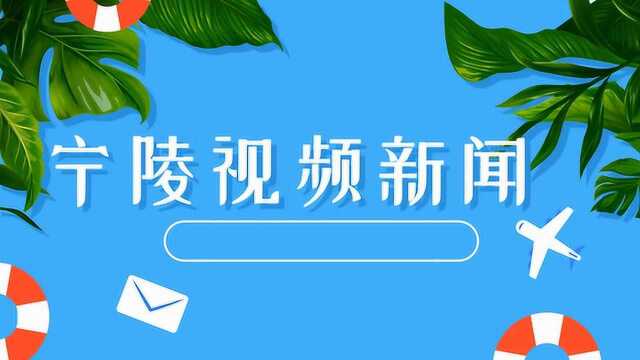 宁陵新闻11.12