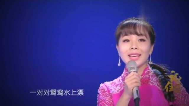 歌曲《一对对鸳鸯水上漂》演唱王二妮