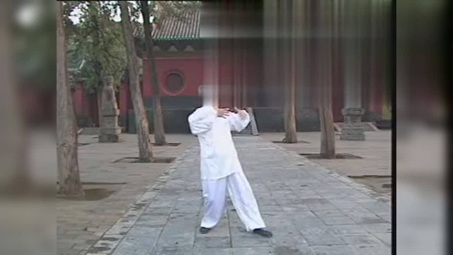 刘振海老师示范少林柔拳