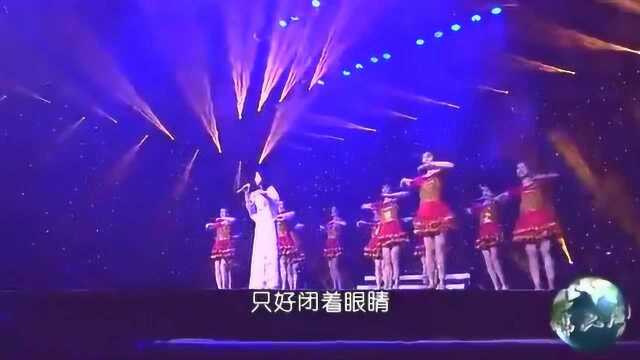 天籁天演唱情歌《想你的夜晚》欣兰词、吴清华曲、现场版