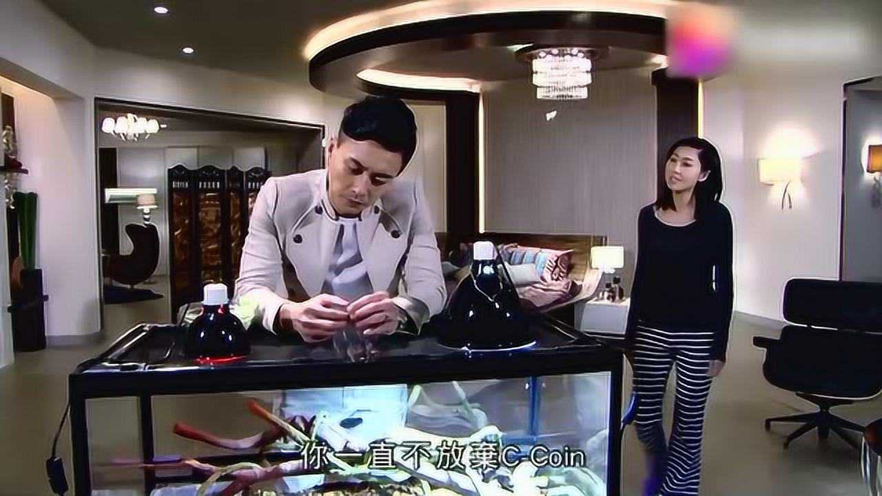 点金胜手卓先生和卓太太因为资雅大吵一架卓太太感到很生气