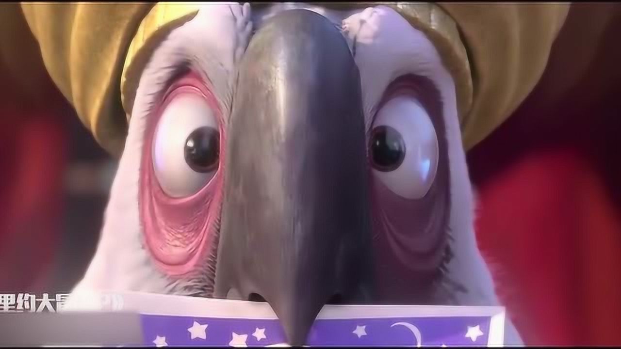 里约大冒险2:一心复仇的鹦鹉,悲惨的过程!