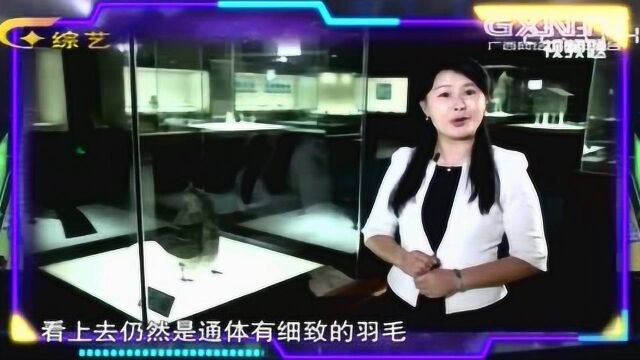 广西小知识:南宁吴圩国际机场的外形是根据羽纹铜凤灯来设计的