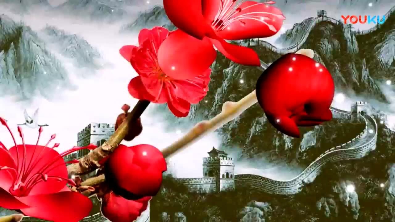 红梅赞背景视频