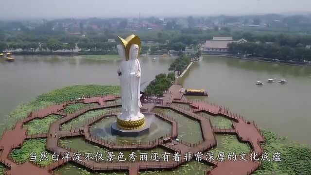 中国海河平原上最大的湖泊,河北雄安白洋淀风景区