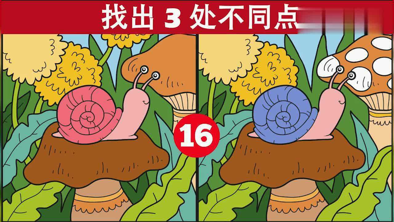脑力测试:相同的两幅图中,你能找出不同的地方吗?