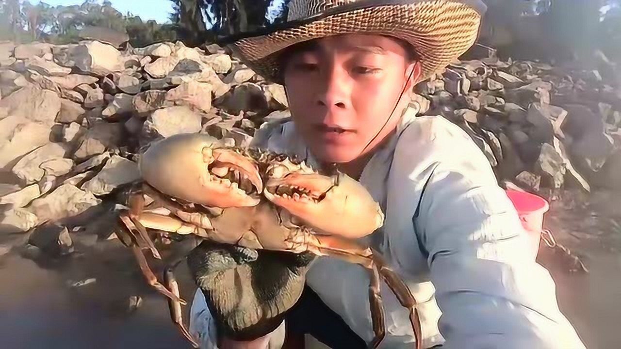 阿波赶海就是这么爽,洞里和淤泥地都有大货,挖了好久