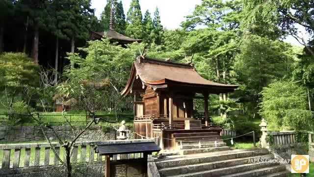 实拍日本长野秋景,树叶红彤彤的,真美,不愧是田园生活最佳之地