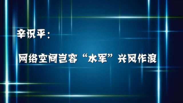 辛识平:网络空间岂容“水军”兴风作浪