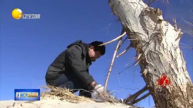 阜新:村医梁春荣过年看诊不仅不收费,还给患者留下免费药品