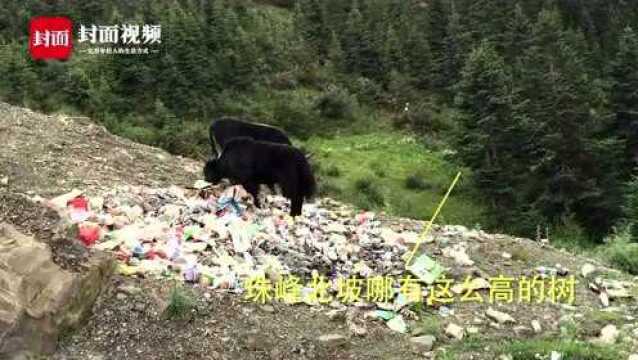 用垃圾站照片冒充珠峰照片 登山队员再怼“珠峰封山”